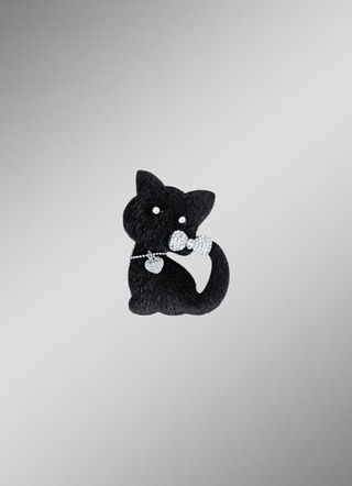 Brosch ”katt”