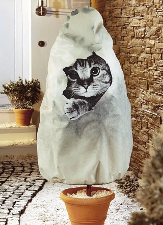 Fleecehuva katt