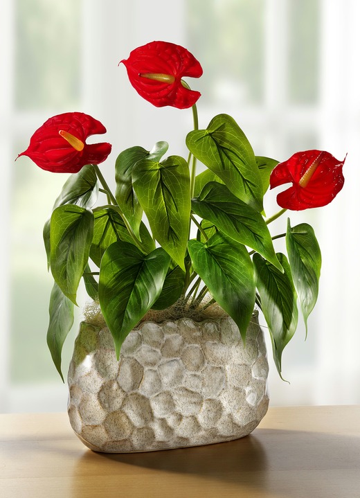 Konstgjorda växter - Anthurium i skal, i färg GRÖN RÖD