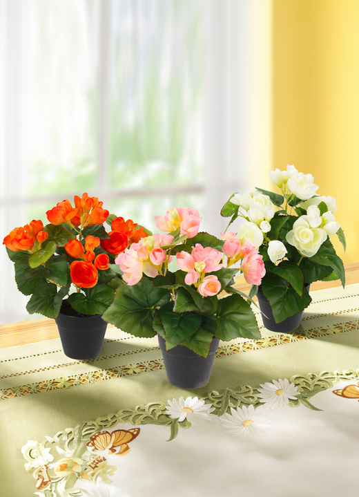 Konstgjorda växter - Begoniabuske i kruka, set om 3, i färg ORANGE ROSA KRÄM Utsikt 1