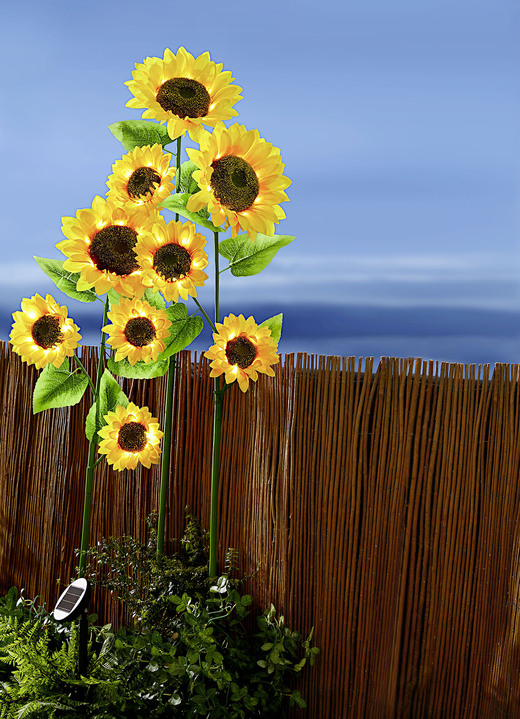 Trädgårdsbelysning - XXL solrosor, i färg GUL-GRÖN-BRUN