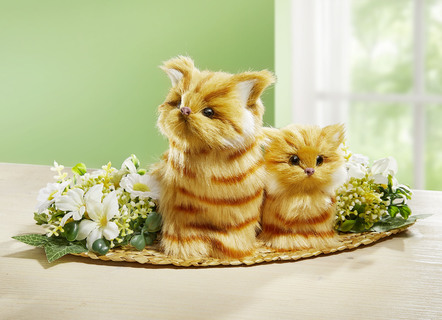 Cat bord arrangemang