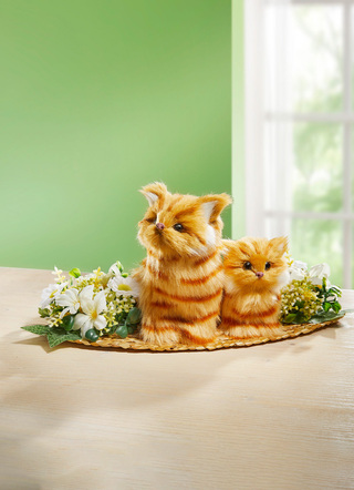 Cat bord arrangemang