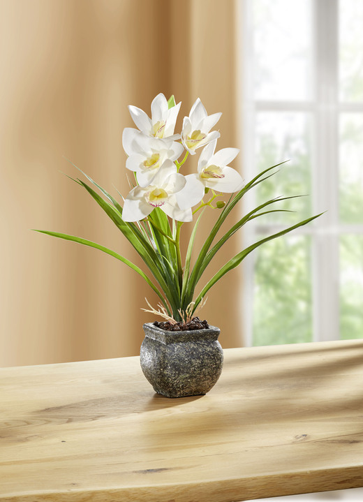 Konstgjorda växter - Cymbidium orkidé i cementkruka, i färg CREME Utsikt 1