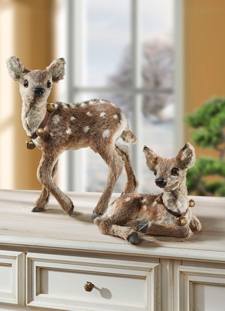 Fawn med klocka
