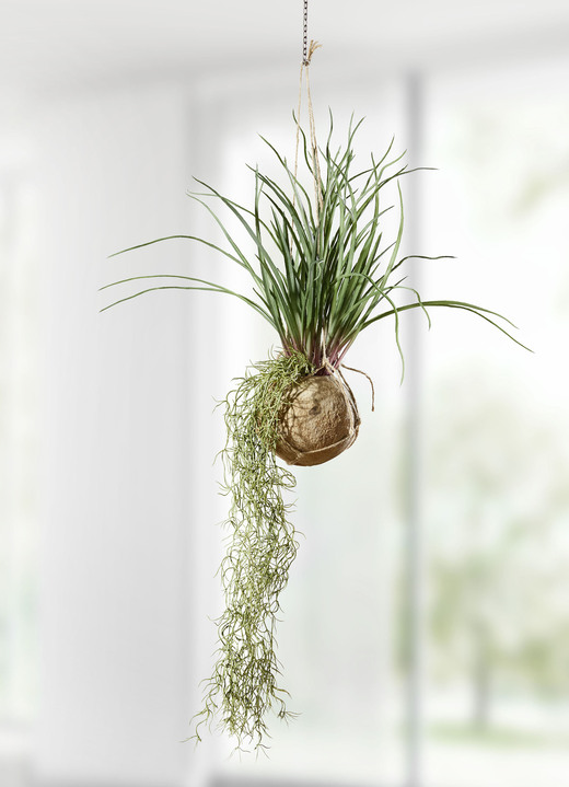 Konstgjorda växter - Tillandsia hängande växt, i färg GRÜN