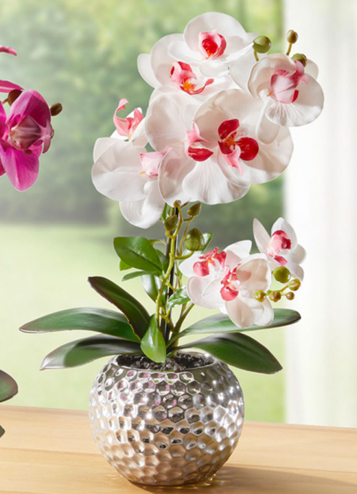 Konstgjorda växter - Orkidé Phalaenopsis i keramisk skål, i färg ROSA-VITT Utsikt 1