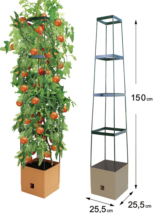 Blomkrukor & planteringskärl - MAXITOM tomatspaljé komplett set, i färg TERRA Utsikt 1