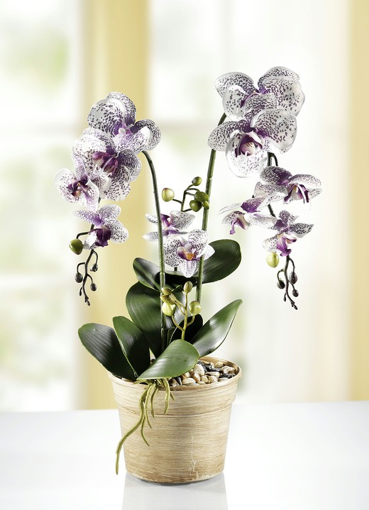 Konstgjorda växter - Orkidé i kruka, i färg