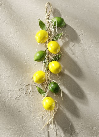 Citron/lime fläta för upphängning