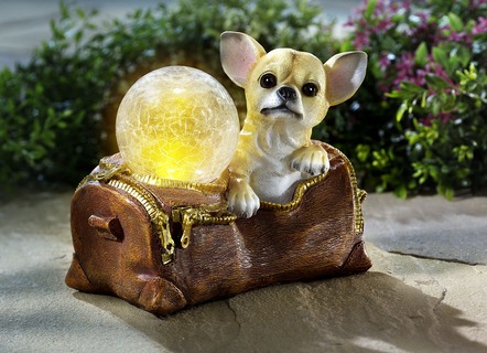 Solljus Chihuahua tillverkad av polyresin