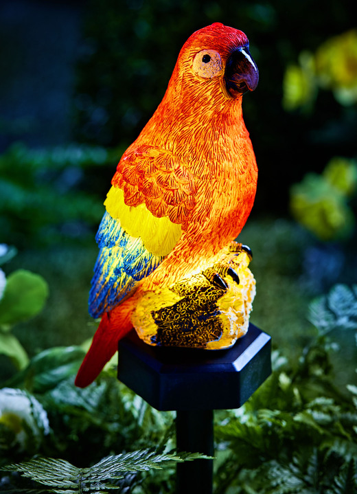 Trädgårdsbelysning - sol papegoja, i färg FÄRGRIK