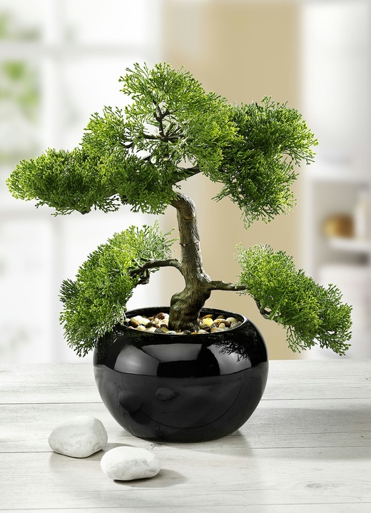 Konstgjorda växter - Inlagd cypress bonsai, i färg GRÖN