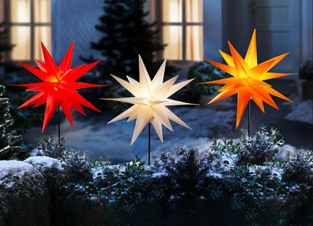 Julstjärna med markspett