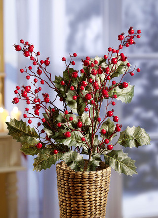 Ilex bärgrenar, uppsättning av 2