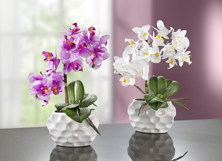 Orkidéarrangemang i keramikvas