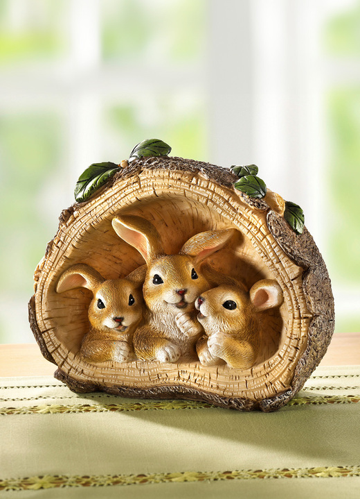 - Kaninfamilj, i färg NATUR