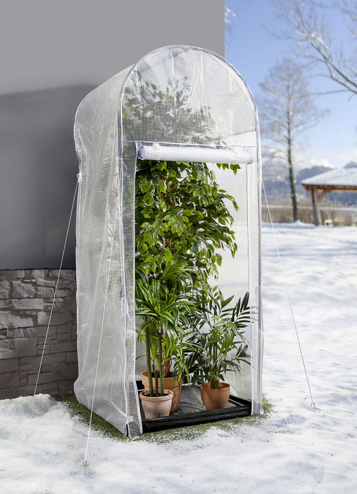 Vinterträdgård - Frostskyddshus med galvaniserad stålstomme, i färg TRANSPARENT, I utförande liten