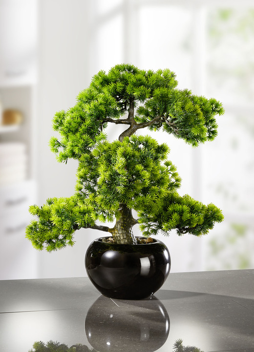 Konstgjorda växter - Lärkbonsai i svart keramikkruka, i färg GRÖN