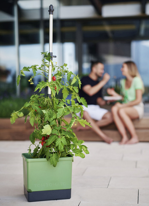 Blomkrukor & planteringskärl - Gusta Garden Tomato med bevattningssystem, i färg GRÖN