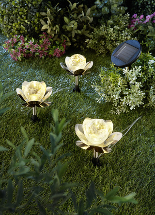 LED näckrosor, 3-delad