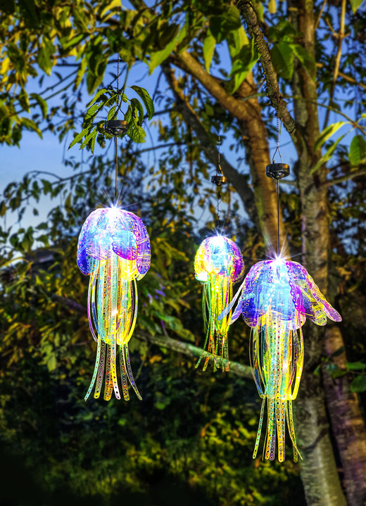 Trädgårdsdekoration - solar LED-maneter, i färg BUNT Utsikt 1