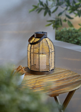 LED solkorgljus