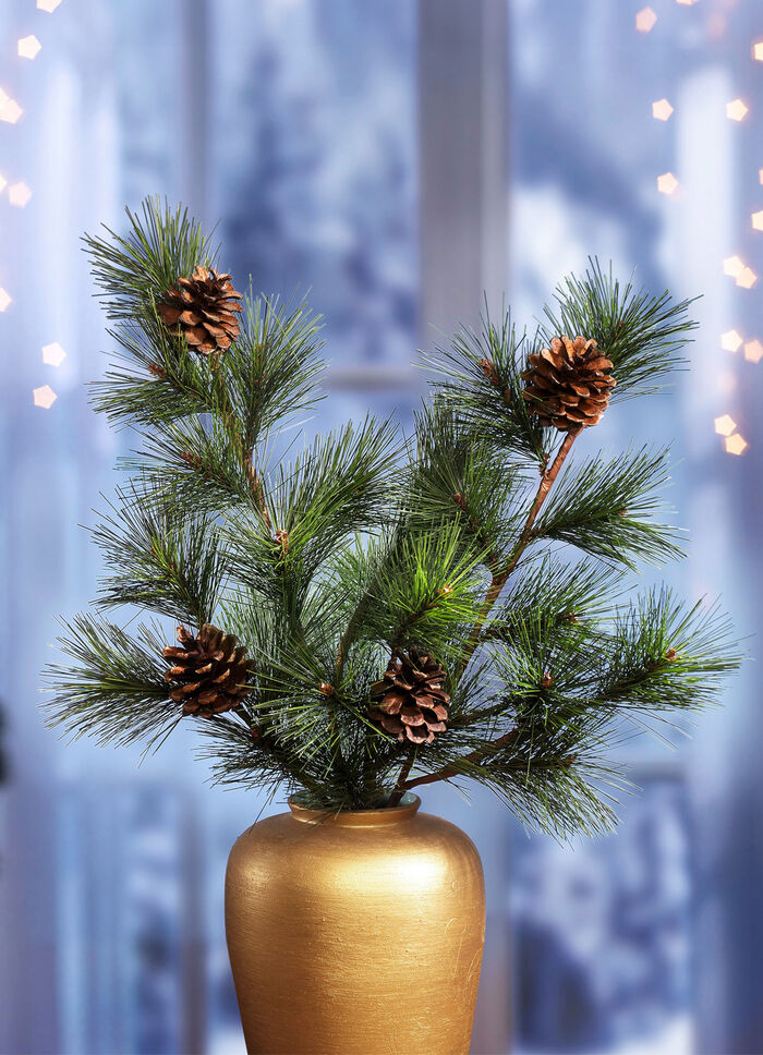 Tallgrenar med riktiga kottar, set om 2 