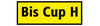 BADERsv_SE1bisCupH_detail