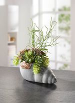 Arrangemang i musselkruka 