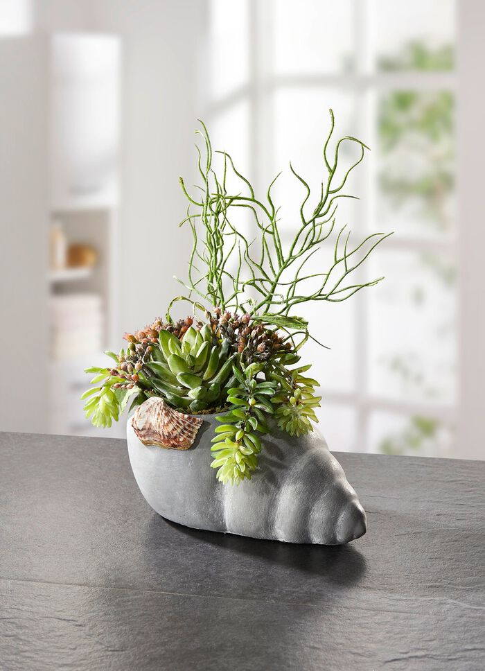 Arrangemang i musselkruka 