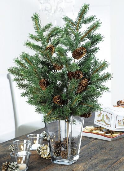 Grankvistar, upps&auml;ttning om 2 