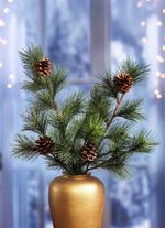 Tallgrenar med riktiga kottar, set om 2 