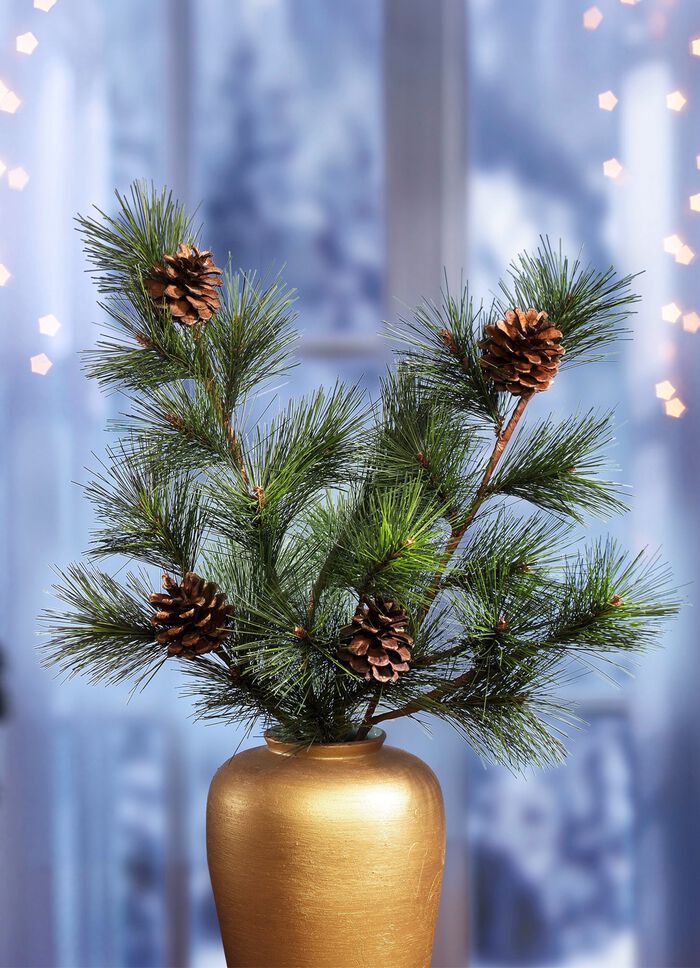 Tallgrenar med riktiga kottar, set om 2 