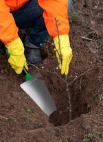 Multipurpose Shovel Root Digger 