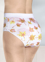 Fempack shapingtrosor med förstärkt magparti 