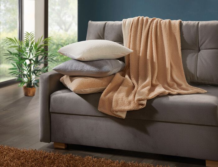 Filtar och kuddar med en fluffig, mjuk teddyfront 