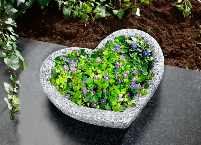 Hj&auml;rtv&auml;xtsk&aring;l av v&auml;derbest&auml;ndig polyresin 