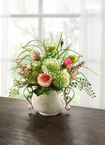 Alliumarrangemang i kruka 