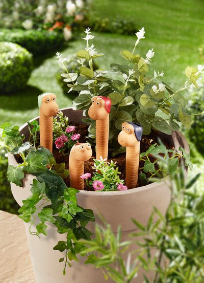 Terrakottabevattningsmaskar, set om 4 