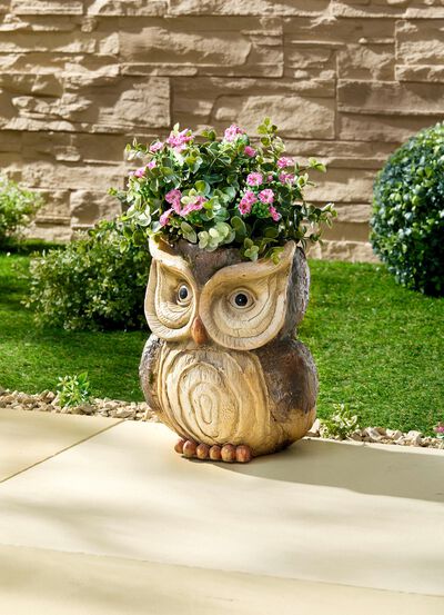 Plantkruka Uggla av Magnesia 