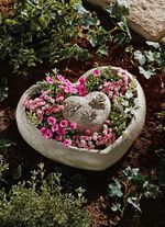 Hj&auml;rtplanter, 2-delad 