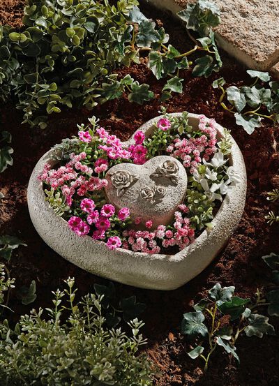 Hj&auml;rtplanter, 2-delad 