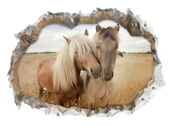 3D-v&auml;ggtatuering med imponerande 3D-effekt 