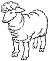 BADERsv_SE1Logo_Lamm