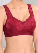 BH med subtilt gl&auml;nsande elastisk spets 