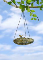 H&auml;ngande f&aring;gelbad 