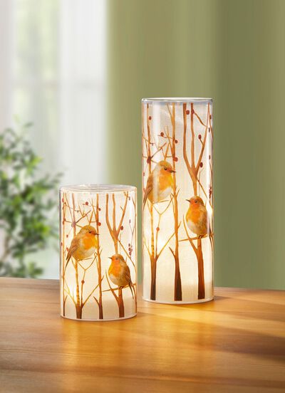 LED-lykta med r&ouml;dhakemotiv, set om 2 