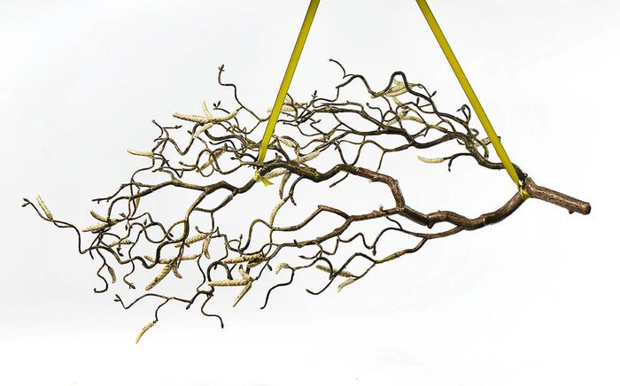 Hasseln&ouml;tsgren tillverkad av h&ouml;gkvalitativt konstmaterial 