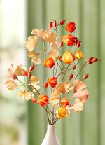 H&ouml;stgrenar i ett set om 3 